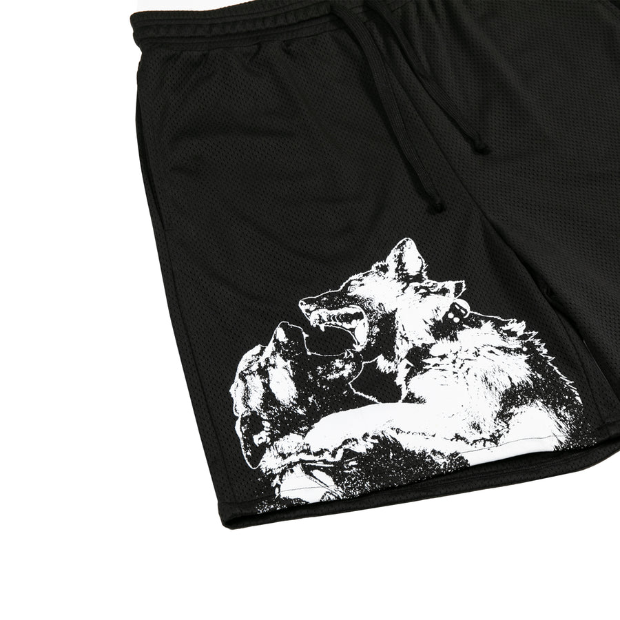 Dogfight Mesh Shorts